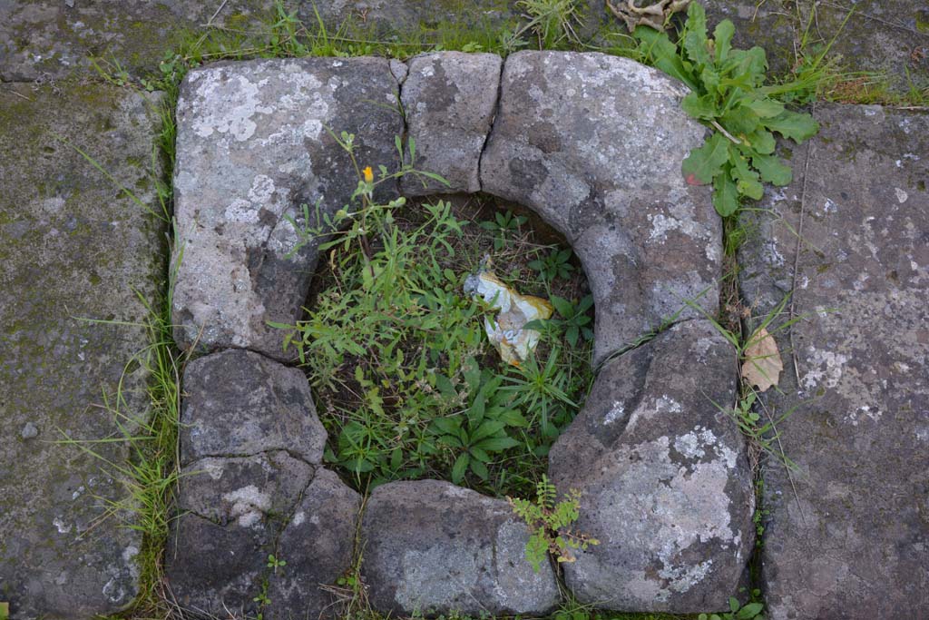 VI.11.10 Pompeii. October 2017. Cistern mouth on south side of impluvium in atrium.
Foto Annette Haug, ERC Grant 681269 DÉCOR