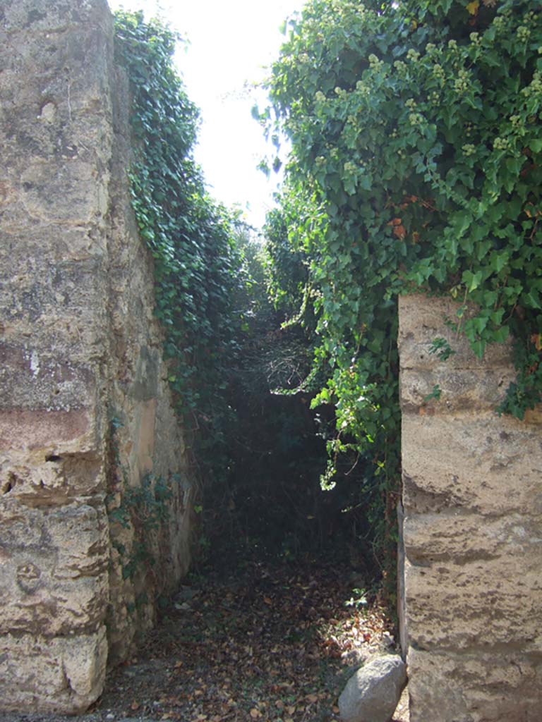 VI.11.19 Pompeii. September 2005. Overgrown entrance doorway.
According to Wallace-Hadrill, this was the main entrance to the atrium, at number 18 was the back entrance to the yard, and at number 20 was a workshop with stairs to the upper floor.
Originally there were style III and style IV decorations found in three rooms.
See Wallace-Hadrill, A. (1994): House and Society in Pompeii and Herculaneum. Princeton University Press, (p. 210)