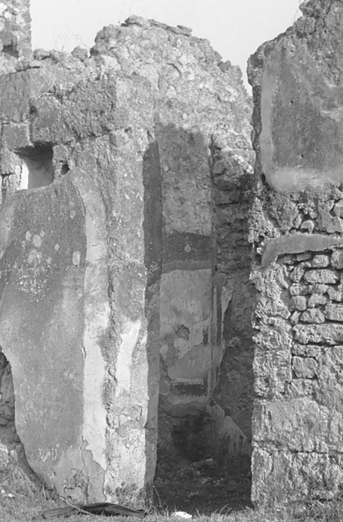 VI.11.19 Pompeii. Detail from W.1557.
Looking towards south-east corner of atrium, and south wall, with doorway to middle room, room (9) a cubiculum.
In the middle room the painted wall decorations from the east wall can be seen.
Photo by Tatiana Warscher. Photo © Deutsches Archäologisches Institut, Abteilung Rom, Arkiv.