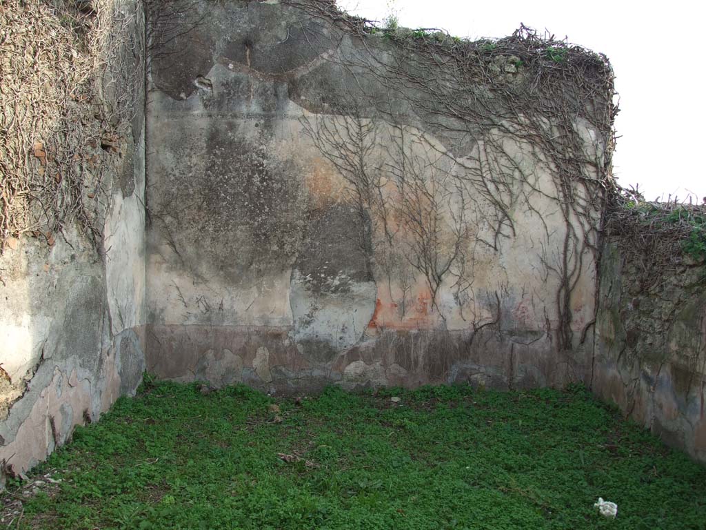 VI.11.19 Pompeii. December 2007. South wall of triclinium (7) on south side of atrium.
The zoccolo was black, and in the central panel were painted plants with geometric patterns on either side of it.
The middle area of the wall was painted red with a painted central aedicule which was separated from the side panels by narrow painted compartments. The colour of the upper area of the wall was not distinguishable.