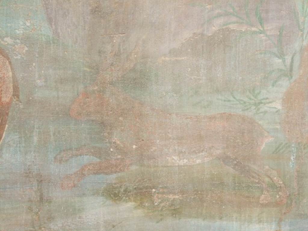 VI.14.20 Pompeii. March 2009. Room 18. Garden area. West wall. Hare or rabbit.