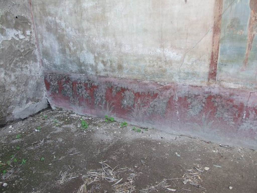 VI.14.20 Pompeii. March 2009. Room 18, painted plants on lower border on south end of west wall of garden area.