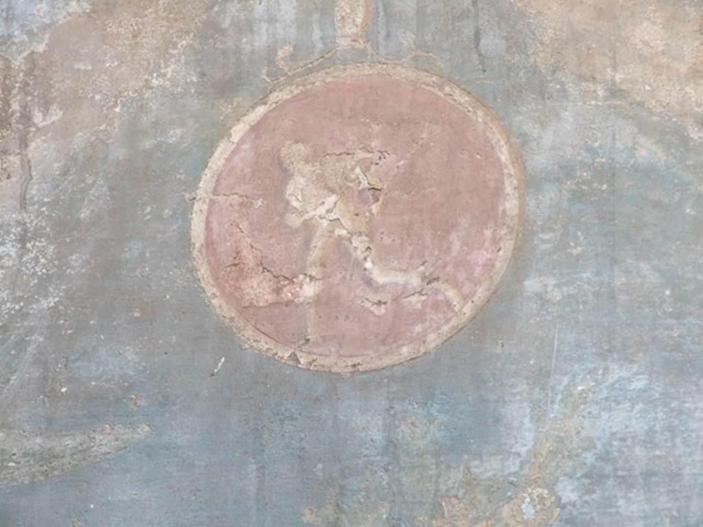 VI.14.20 Pompeii. March 2009. Room 18. Garden area. West wall. Painted medallion.