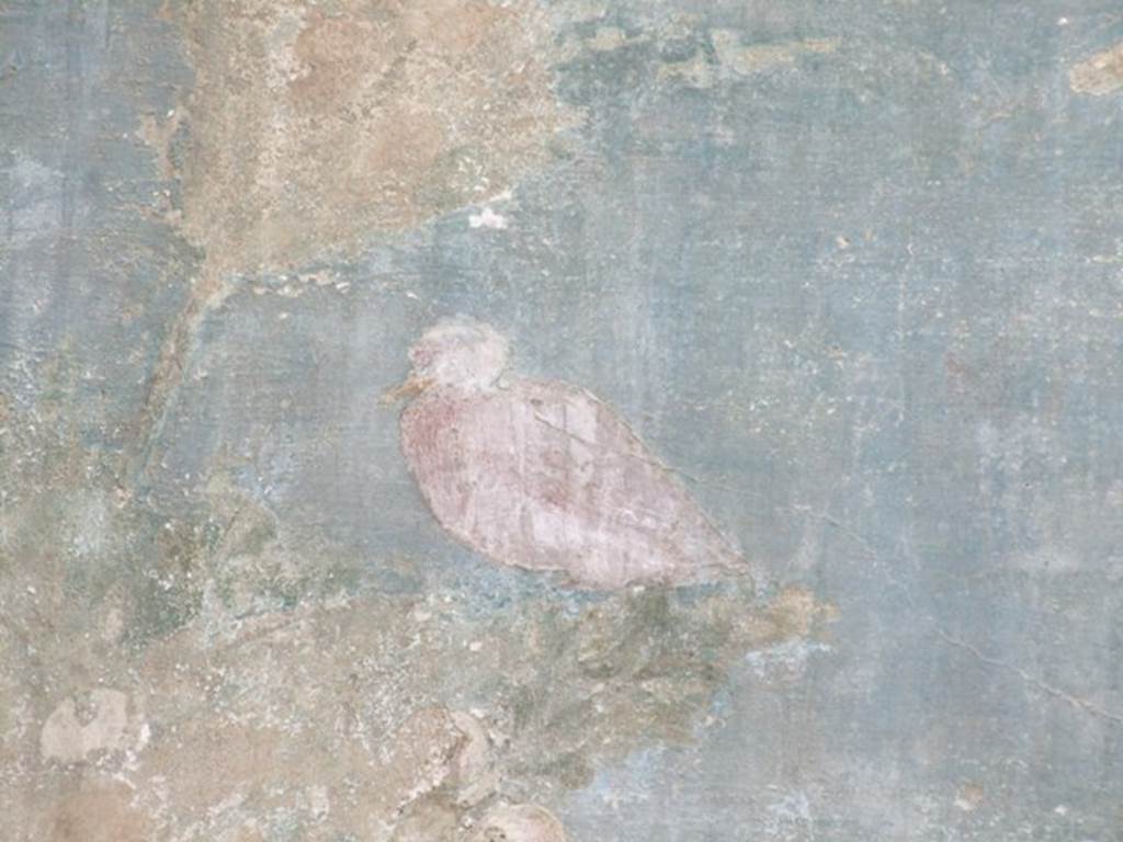 VI.14.20 Pompeii. March 2009. Room 18. Garden area. West wall. Painted bird.