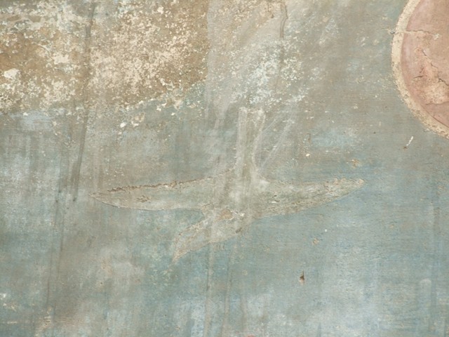 VI.14.20 Pompeii. March 2009. Room 18, painted bird from west wall of garden area.