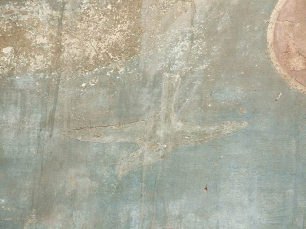 VI.14.20 Pompeii. March 2009. Room 18. Garden area. West wall, Painted bird.
