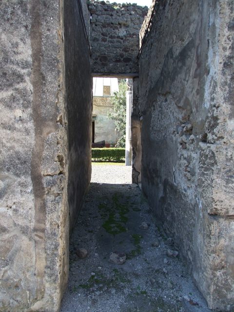 VI.14.20 Pompeii. March 2009. Room 6. Ala .