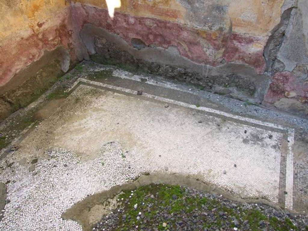 VI.14.20 Pompeii. March 2009. Room 9. Remains of mosaic floor.