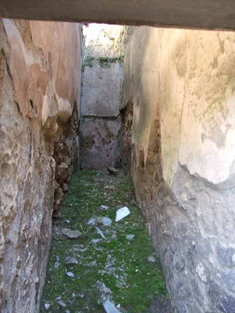 VI.14.20 Pompeii. March 2009. Room 12. Small room on south side of room 4. East wall.