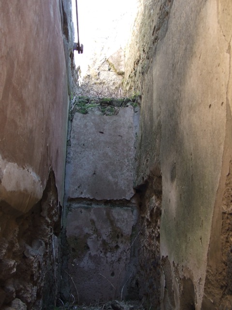 VI.14.20 Pompeii. March 2009. Room 13. South wall.