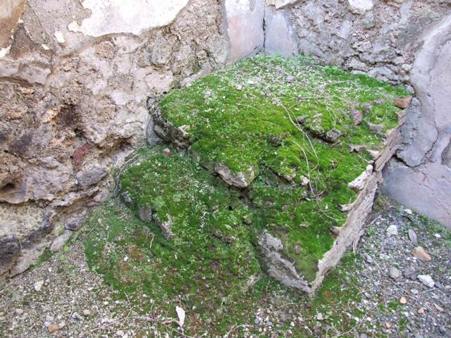 VI.14.20 Pompeii. March 2009. Room 14. Steps to upper floor in north west corner.