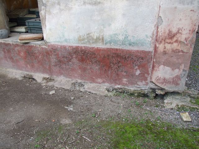VI.14.20 Pompeii. March 2009. Room 18, remains of garden painting from north end of west wall of garden area.