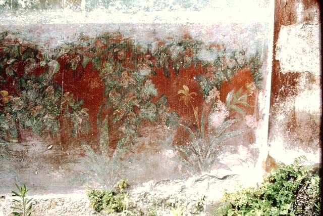 VI.14.20 Pompeii. March 2009. Room 18, remains of garden painting around window on west wall of garden area.