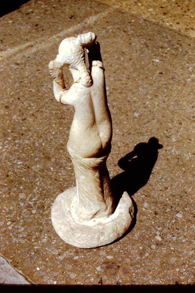 VI.14.27 Pompeii. 1971. Found in room �b�. Rear of marble statuette of Venus, found in the atrium on 16th April 1875. 
Now in Naples Archaeological Museum. Inventory number 110602. 
Photo by Stanley A. Jashemski.
Source: The Wilhelmina and Stanley A. Jashemski archive in the University of Maryland Library, Special Collections (See collection page) and made available under the Creative Commons Attribution-Non Commercial License v.4. See Licence and use details.
J71f0273

