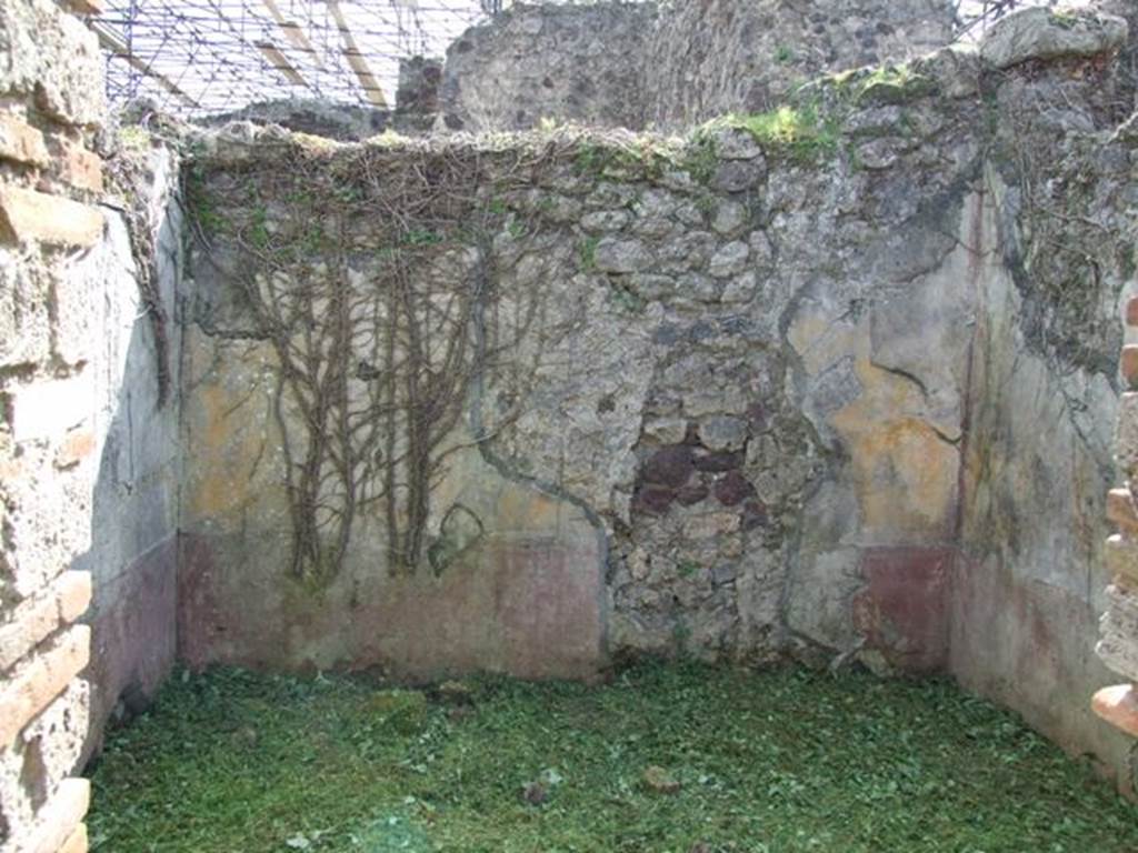 VI.15.5 Pompeii. March 2009. Room 26, south wall of cubiculum. According to NdS, this room had a floor of opus signinum, yellow walls and violet dado. See Notizie degli Scavi, January 1897, (p.22)