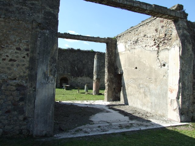 VI.15.5 Pompeii. March 2009. Room 7, coloured mosaic floor on west side of tablinum.