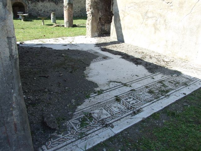 VI.15.5 Pompeii.  March 2009. Garden area, 11, West wall, looking north west from south portico.