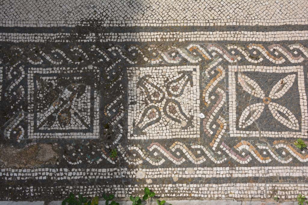 VI 15 5 Pompeii. March 2019. Tablinum 7, coloured mosaic threshold, detail starting from the south (left) side. 
Foto Annette Haug, ERC Grant 681269 D�COR.
