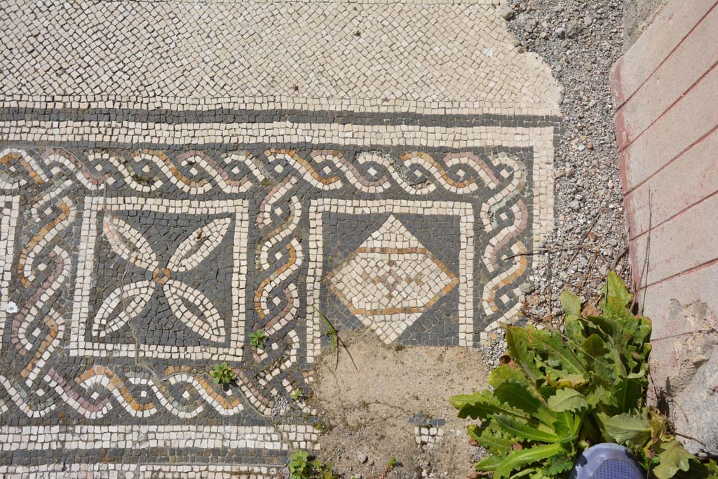 VI 15 5 Pompeii. March 2019. 
Tablinum 7, coloured mosaic threshold, detail starting from the south (left) side and finishing here on the north (right).
Foto Annette Haug, ERC Grant 681269 D�COR.
