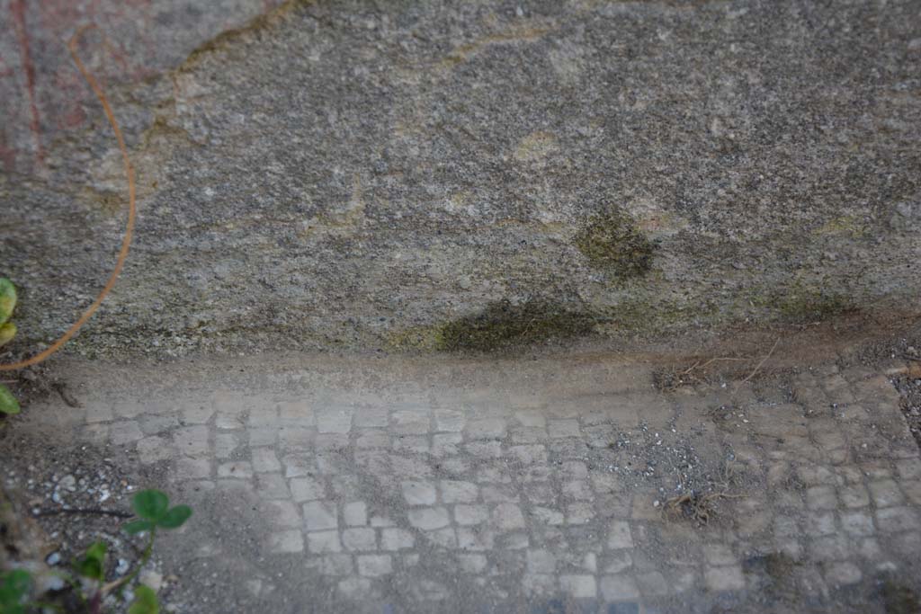 VI 15 5 Pompeii. March 2019. Tablinum 7, detail of mosaic flooring near south wall.
Foto Annette Haug, ERC Grant 681269 D�COR.
