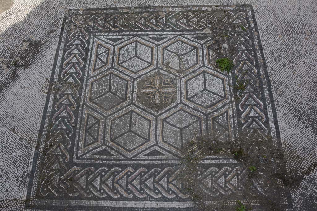 VI 15 5 Pompeii. March 2019. Tablinum 7, emblema in centre of floor.
Foto Annette Haug, ERC Grant 681269 D�COR.
