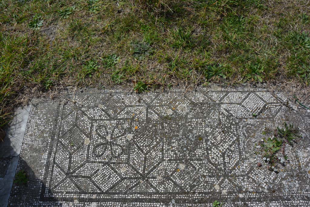 VI 15 5 Pompeii. March 2019. Tablinum 7, mosaic at south end of west side of tablinum.
Foto Annette Haug, ERC Grant 681269 D�COR.


