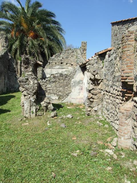VI.15.5 Pompeii. March 2009. Room 24. Oecus. North wall.