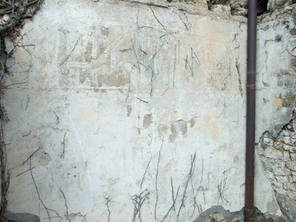 VI.15.6 Pompeii. March 2009. Room 2, north wall of cubiculum.  According to NdS, the walls of this room were decorated in white and partitioned into panels of the usual architectural concepts of the last style.  In each panel the following representations were seen, starting on the north wall � 
a sacred tree trunk and bronze urn supported by four feet:  
a bronze amphora with a palm branch leaning against it, and to the right, a tree trunk:
a winged bird in front of a bunch of grapes, the painting was enclosed in a medallion:
a cockerel in the act of pecking two fruits, also enclosed in a medallion:
an urn, in the usual circle:
a vase or urn which was supporting a palm branch, and on the right was a tree trunk.
The paintings from the west wall were destroyed. See Notizie degli Scavi, January 1897, (p.30)
