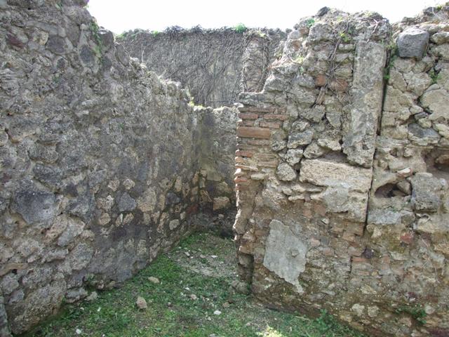 VI.15.6 Pompeii. March 2009. Room 9.  West wall.