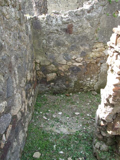 VI.15.6 Pompeii. March 2009.  Looking north from Exedra, Room 8.