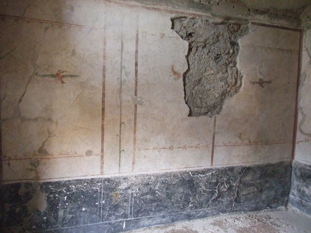 VI.15.8 Pompeii. May 2010. Painted panel of fishes on west wall of tablinum.