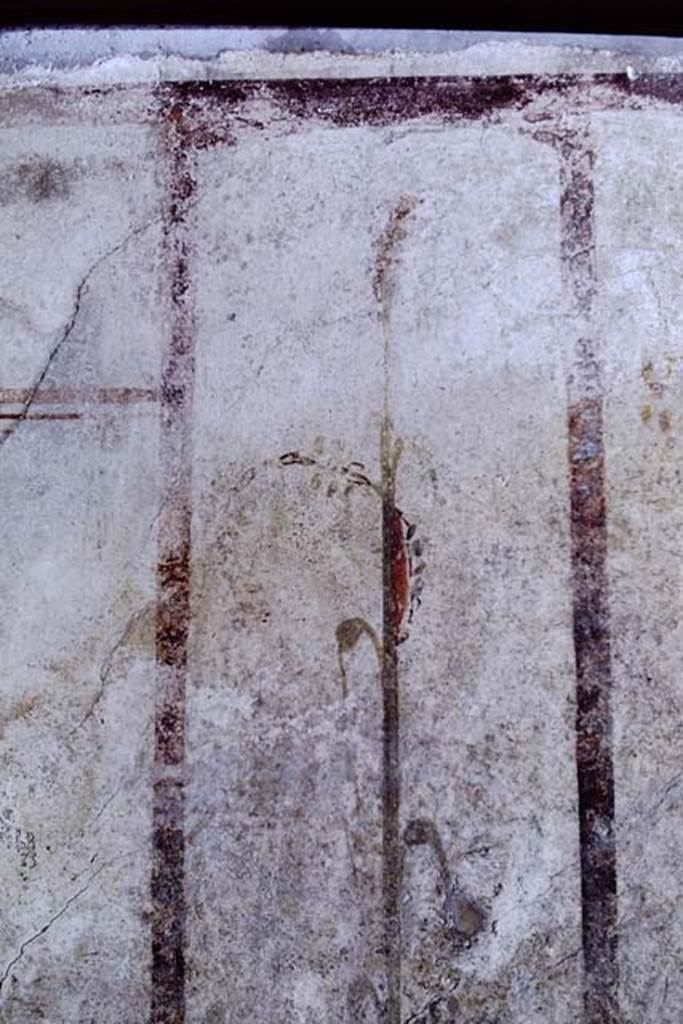 VI.15.8 Pompeii. 1968. Detail from panel on west wall. Photo by Stanley A. Jashemski.
Source: The Wilhelmina and Stanley A. Jashemski archive in the University of Maryland Library, Special Collections (See collection page) and made available under the Creative Commons Attribution-Non Commercial License v.4. See Licence and use details. J68f1011
