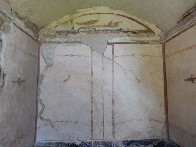 VI.15.8 Pompeii. May 2010. West wall of cubiculum. According to NdS, the walls were painted with a white background, and in the panels were flying swans and goats. See Notizie degli Scavi, 1897, January, p. 35.