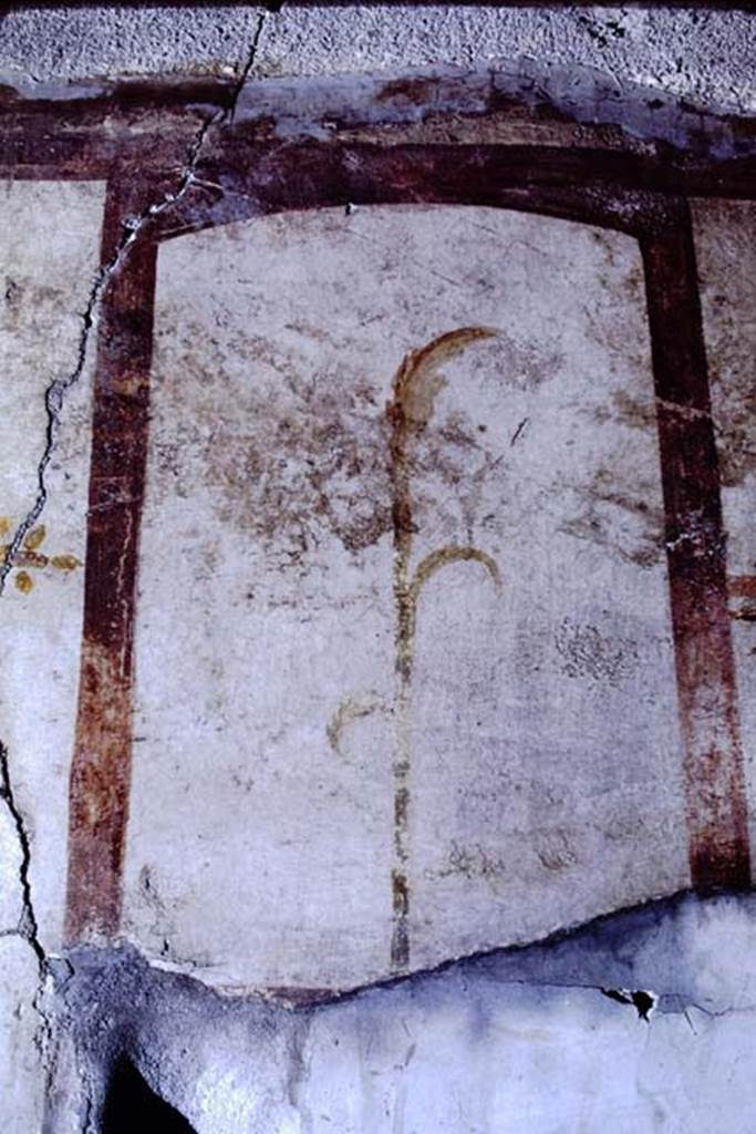 VI.15.8 Pompeii. 1968. Detail from east wall of top of painted candelabra of reed.
Photo by Stanley A. Jashemski.
Source: The Wilhelmina and Stanley A. Jashemski archive in the University of Maryland Library, Special Collections (See collection page) and made available under the Creative Commons Attribution-Non Commercial License v.4. See Licence and use details. J68f1014
