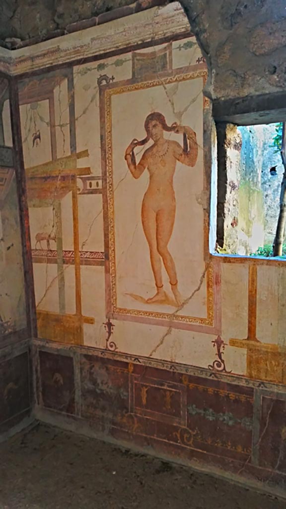 VI.15.8 Pompeii. December 2019.
South end of west wall in south-west corner of summer triclinium. Photo courtesy of Giuseppe Ciaramella.