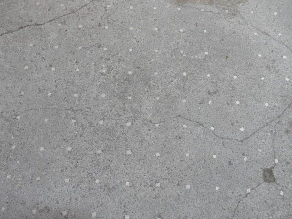 VI.15.8 Pompeii. May 2015. Detail of atrium flooring in north-east corner. Photo courtesy of Buzz Ferebee.
