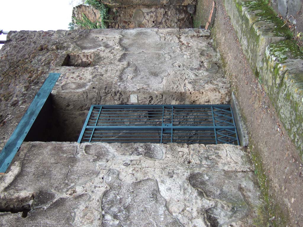 VI.15.9 Pompeii. March 2009. North side of entrance corridor.