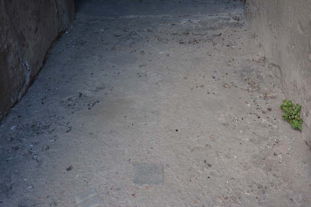 VI.15.9 Pompeii. July 2017. Looking west towards flooring in entrance corridor.
Foto Annette Haug, ERC Grant 681269 D�COR.

