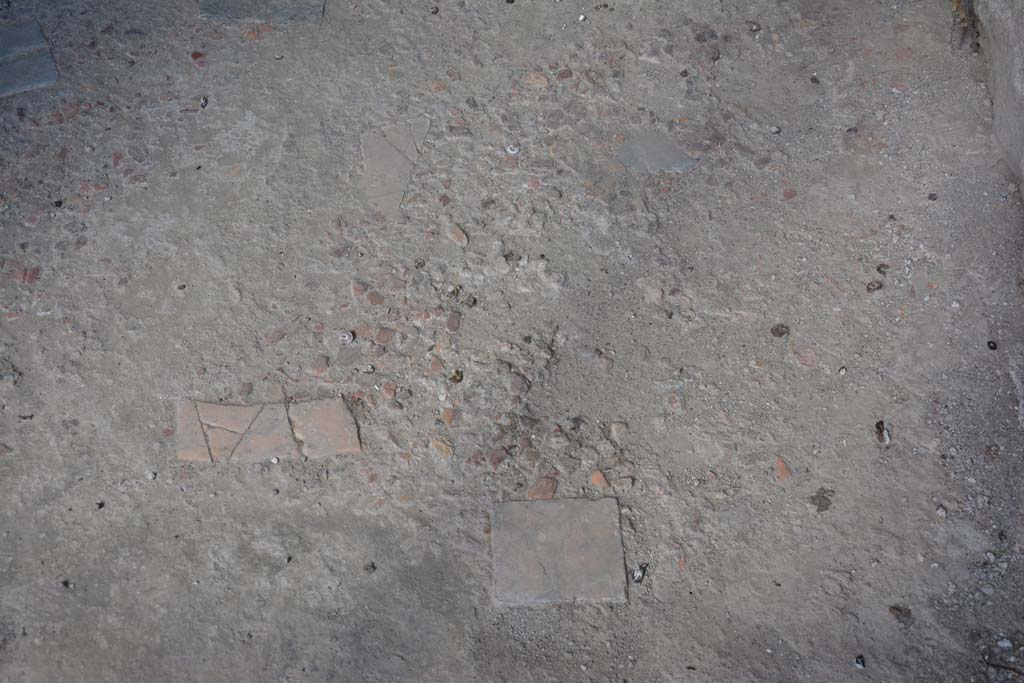 VI.15.9 Pompeii. July 2017. Detail of flooring in entrance corridor.
Foto Annette Haug, ERC Grant 681269 D�COR.

