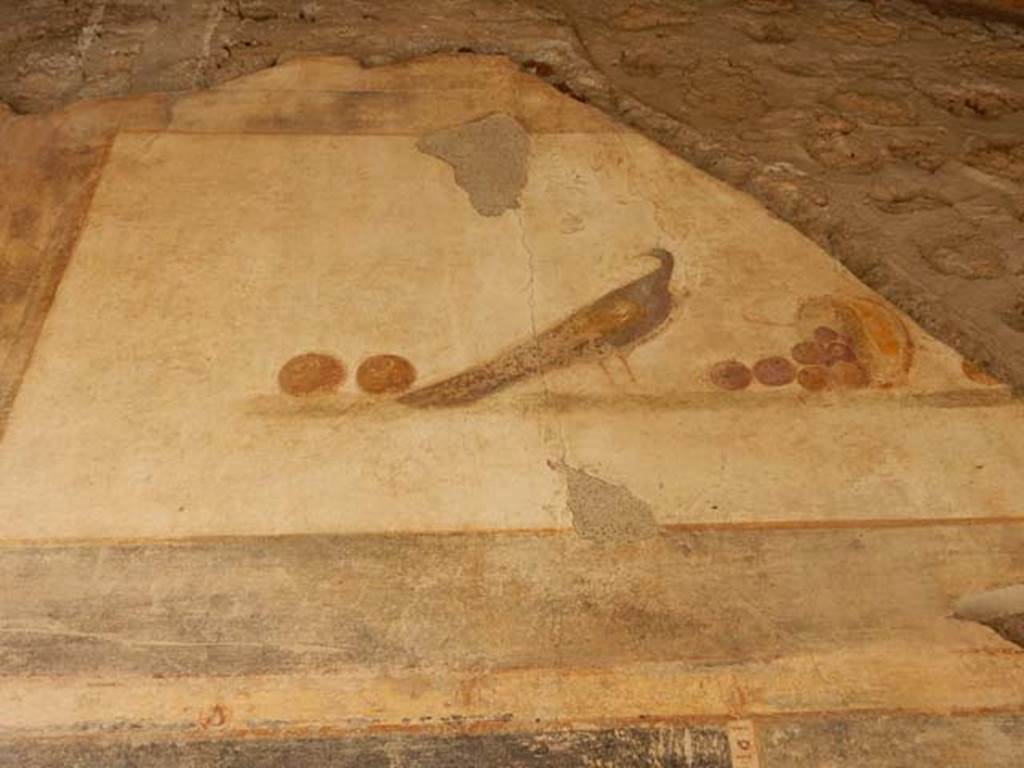VI.16.7 Pompeii. May 2016. Entrance �A� upper north wall. Painting of still life with peacock and fruit, after recent restoration.  Photo courtesy of Buzz Ferebee.
