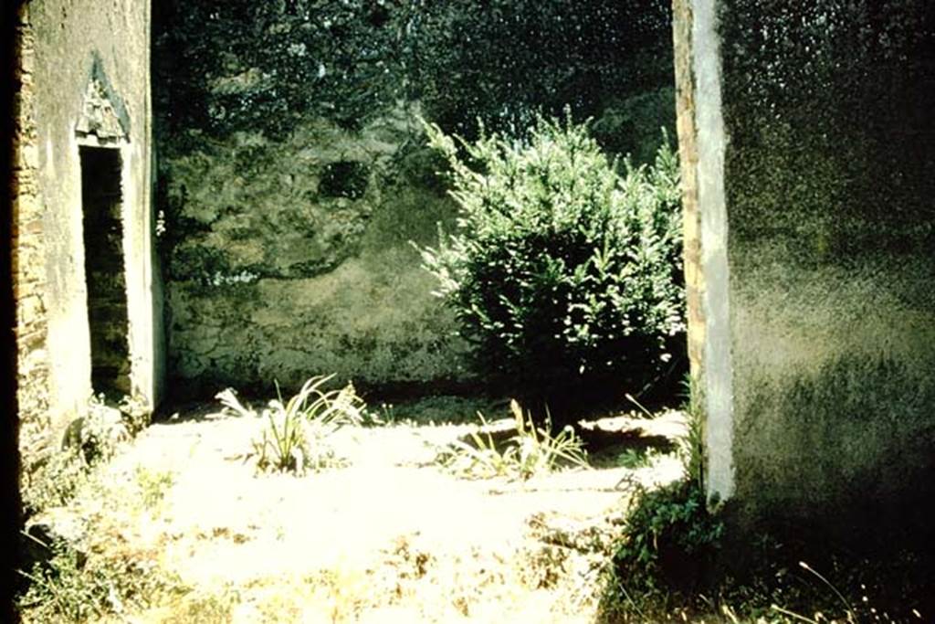VI.16.7 Pompeii. 1957. Room P, light-yard, looking south from large triclinium O. Photo by Stanley A. Jashemski.
Source: The Wilhelmina and Stanley A. Jashemski archive in the University of Maryland Library, Special Collections (See collection page) and made available under the Creative Commons Attribution-Non-Commercial License v.4. See Licence and use details.
J57f0135