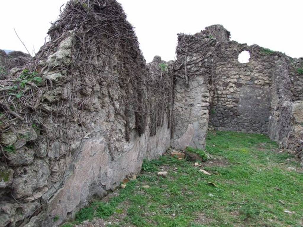 VI.16.13 Pompeii. December 2007. South wall of workshop and rear-room in south-west corner. According to NdS, the workshop was rather spacious. The walls were whitewashed with a high plastered dado (laterizio) and with red bands on a white background, to imitate the encrustation of white marble slabs. See Notizie degli Scavi di Antichit�, 1908 (p.62)

