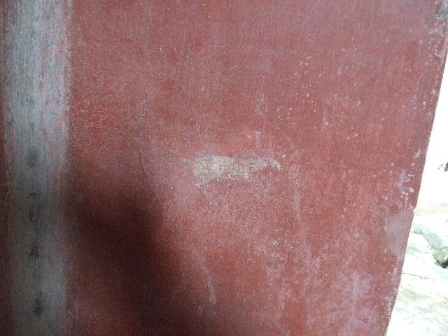 VI.16.15 Pompeii.  December 2006.   East wall of room in centre of South wall of Atrium.   Detail of wall painting of panther, peacock and head.
