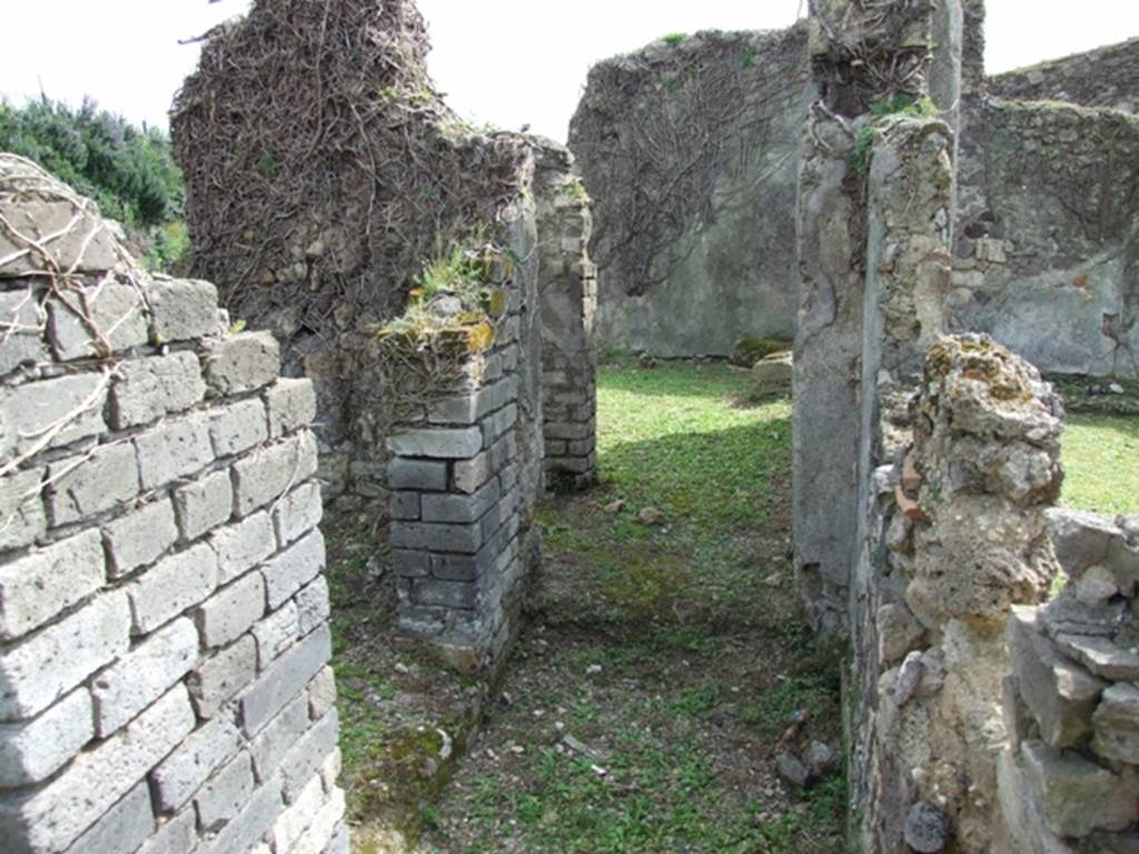 VI.16.27 Pompeii.  March 2009.  Looking east across Peristyle garden.
