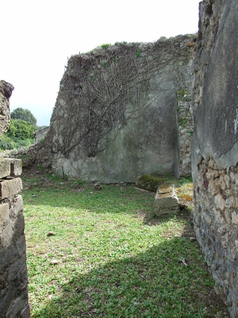 VI.16.27 Pompeii.  March 2009.  South east corner of garden, looking into Room 8, through remains of window.