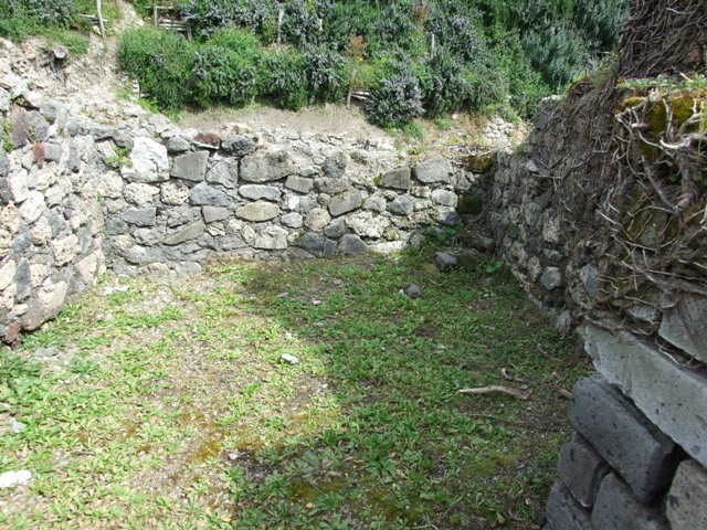 VI.16.27 Pompeii.  March 2009.  Room 12,  West wall.