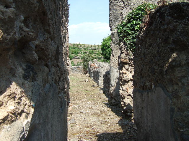 VI.16.27 Pompeii. March 2009. Remains of plaster below Niche on east wall.