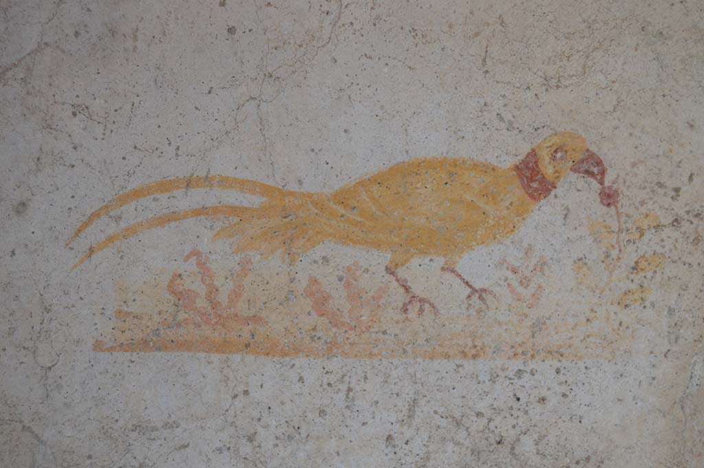 VI.16.33 Pompeii. March 2018. Painting of a bird from west end of north wall of bar-room.
Foto Taylor Lauritsen, ERC Grant 681269 D�COR.

