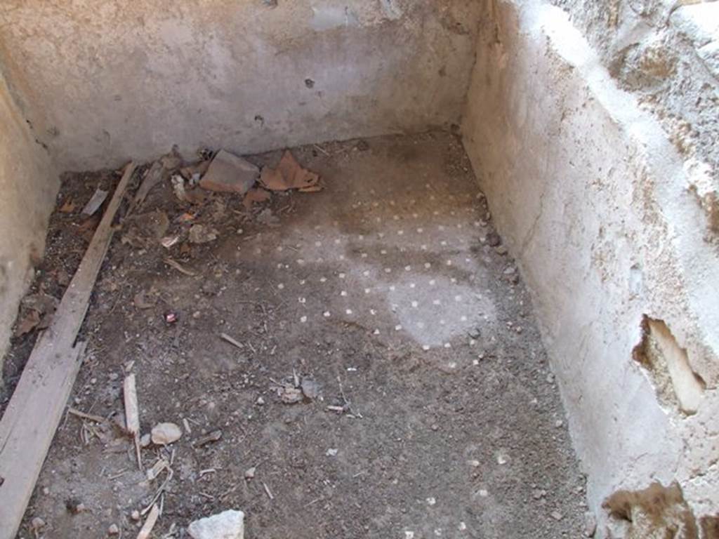 VI.16.33 Pompeii. December 2007. Decorative floor at the rear of the counter. 
According to Sogliano, the floor was of opus signinum.
See Notizie degli Scavi di Antichit�, 1908, (p.289)

