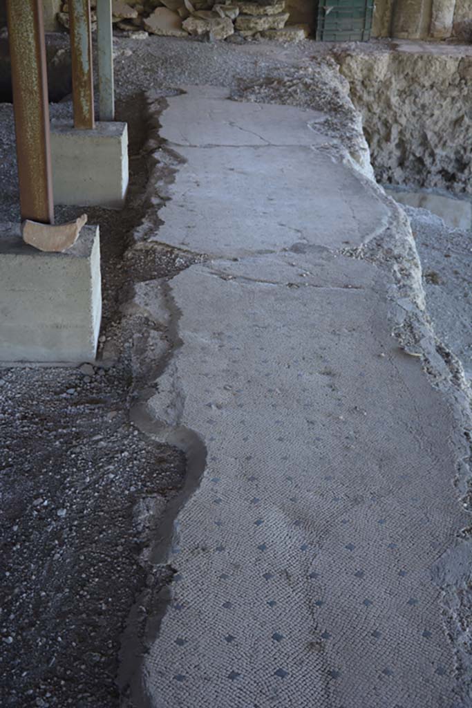 VI.17.41 Pompeii. September 2019.
Looking south along flooring from portico on west side of rear rooms.
Foto Annette Haug, ERC Grant 681269 DÉCOR.